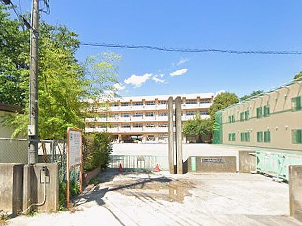 小学校 502m さいたま市立大谷小学校