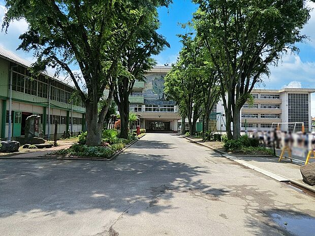 小学校 290m 蕨市立中央小学校