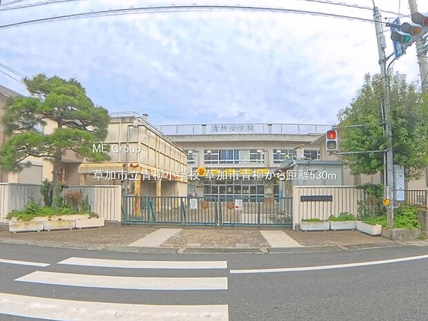小学校 530m 草加市立青柳小学校