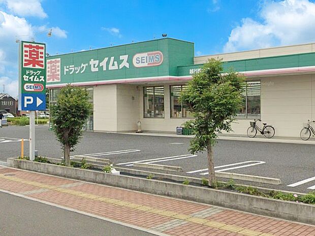ドラッグストア 500m ドラッグセイムス越谷西大袋店