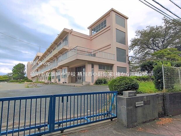 小学校 650m 桶川市立加納小学校