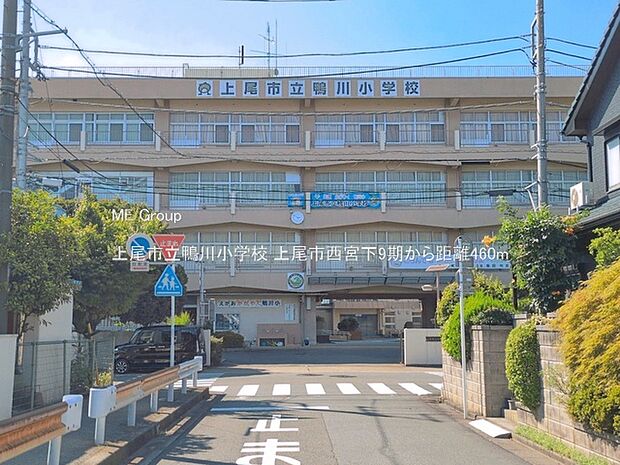 小学校 460m 上尾市立鴨川小学校