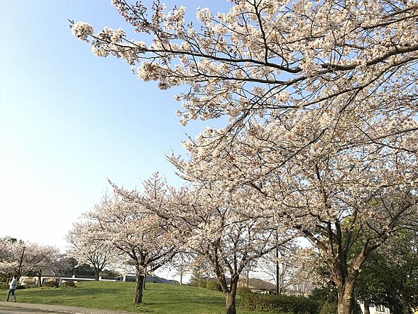 公園 600m 浅間公園