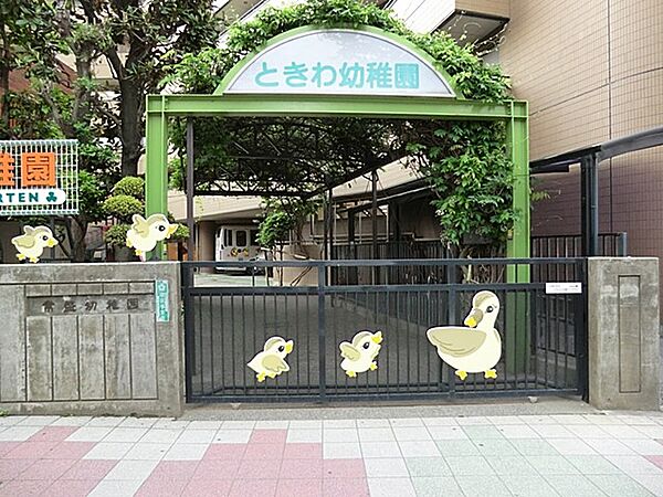 幼稚園・保育園 500m 常盤幼稚園
