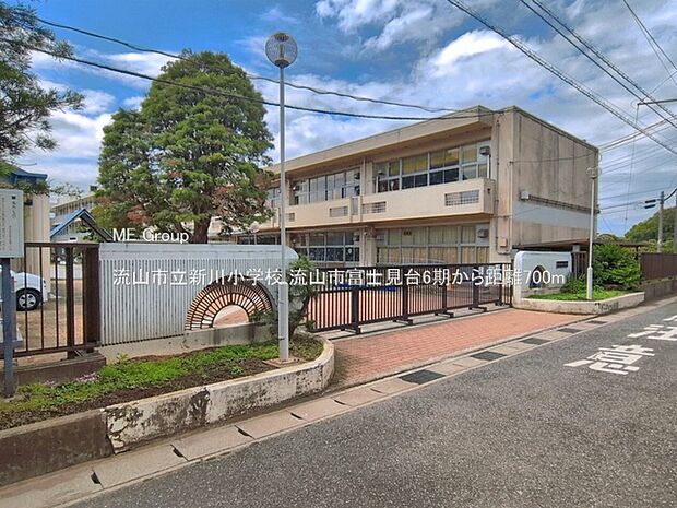小学校 700m 流山市立新川小学校