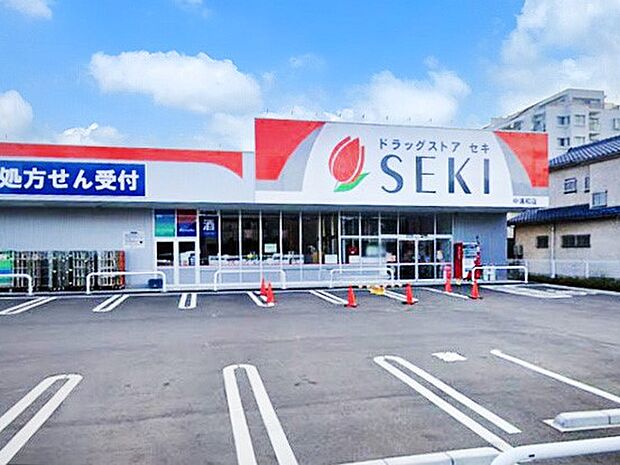 ドラッグストア 500m ドラッグストアセキ 中浦和店