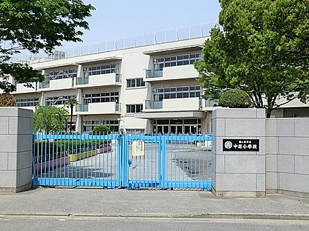 小学校 900m 川口市立中居小学校