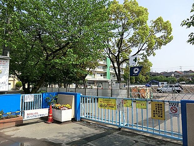小学校 500m さいたま市立栄小学校