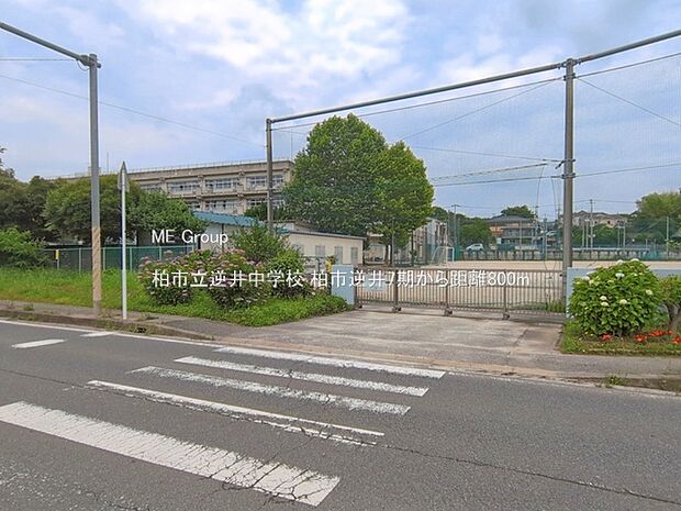 中学校 800m 柏市立逆井中学校