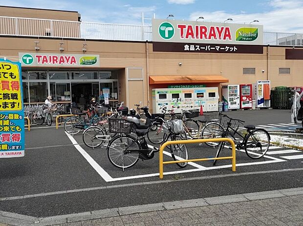 スーパー 600m TAIRAYA 武蔵藤沢店