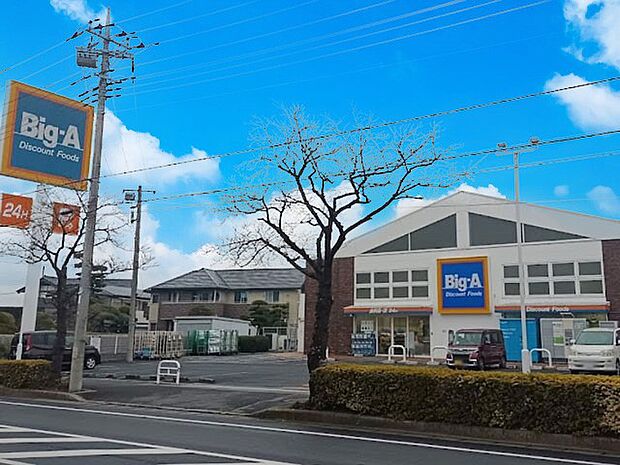 スーパー 900m ビッグ・エー 流山鰭ヶ崎店