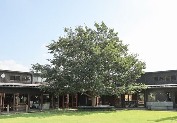 幼稚園・保育園 1400m 湖北白ばら幼稚園