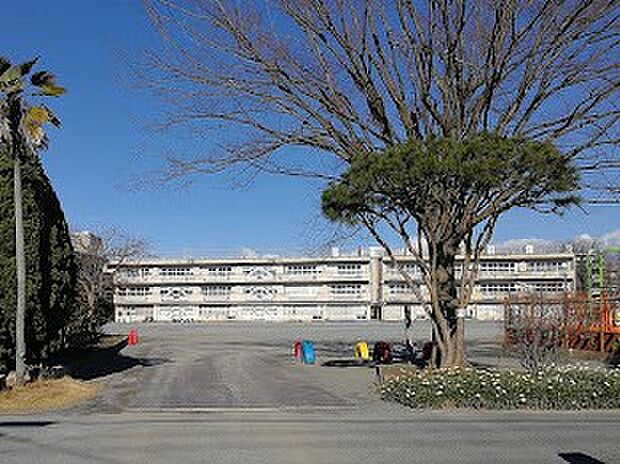 小学校 270m 柏市立松葉第一小学校