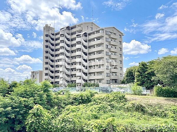 溢れる陽光でご家族の笑顔も輝く