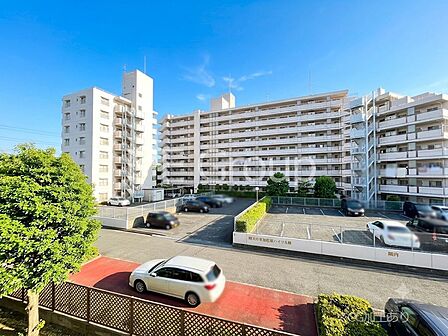 溢れる陽光でご家族の笑顔も輝く 