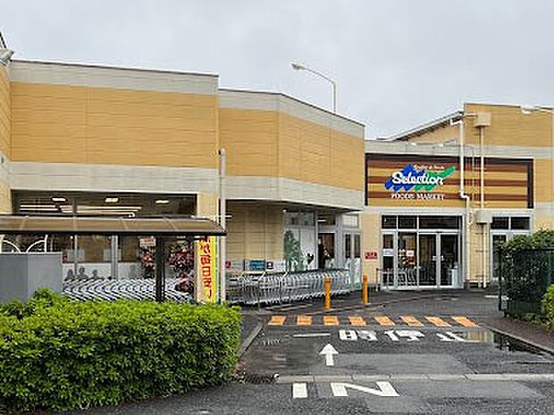 スーパー 600m セレクション 松戸店