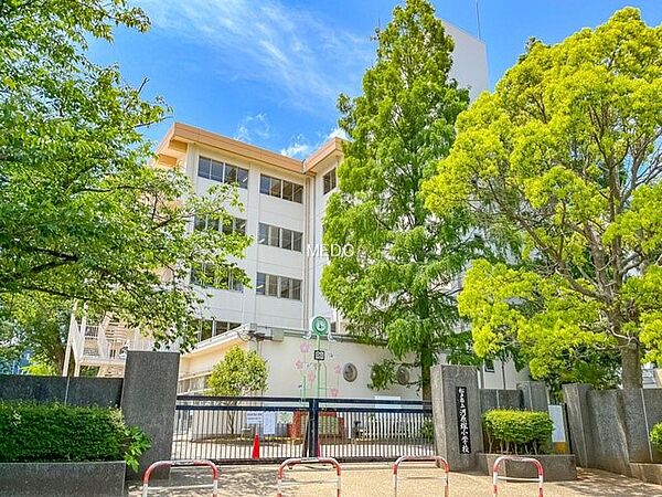 小学校 800m 松戸市立河原塚小学校