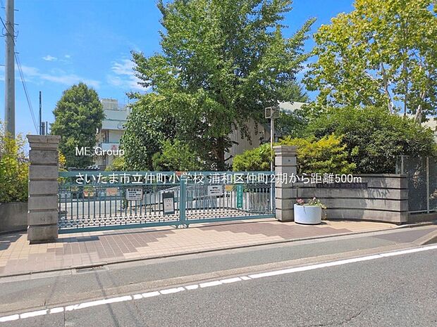 小学校 500m さいたま市立仲町小学校