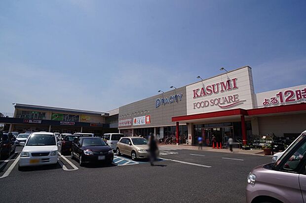 ショッピングセンター 2700m ピアシティ宮代