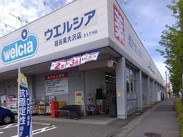 ドラッグストア 300m ウエルシア越谷東大沢店