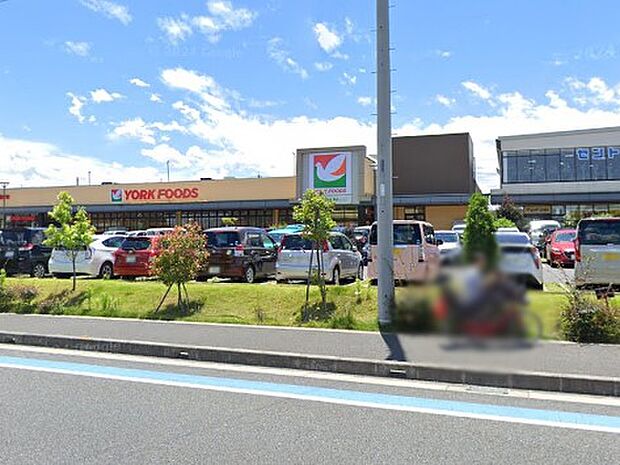 スーパー 900m ヨークフーズ ハレノテラス東大宮店