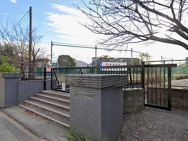 中学校 800m 志木市立志木中学校