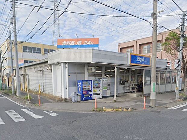 スーパー 500m ビッグ・エー八潮中央店