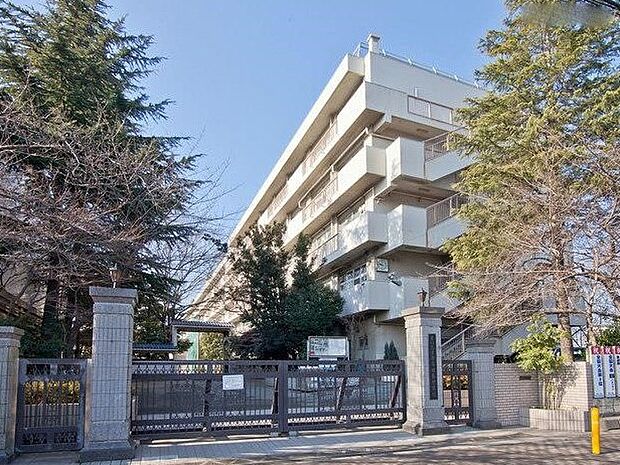 中学校 1293m さいたま市立田島中学校