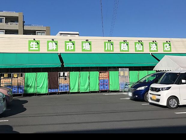 スーパー 900m 生鮮市場 田中青果 川越仙波店