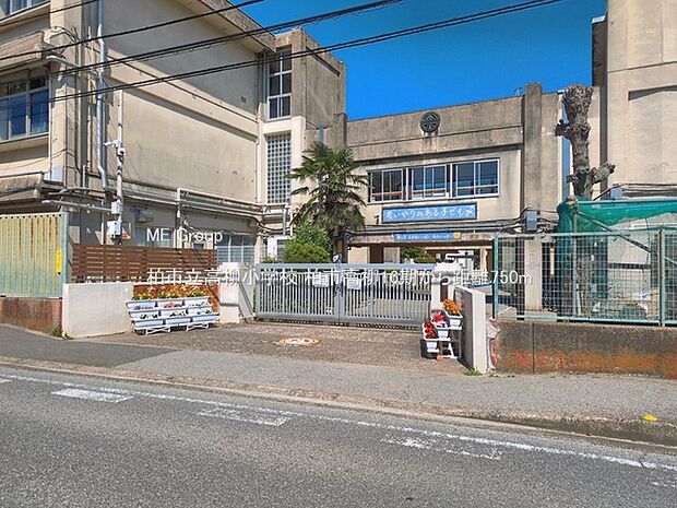 小学校 750m 柏市立高柳小学校
