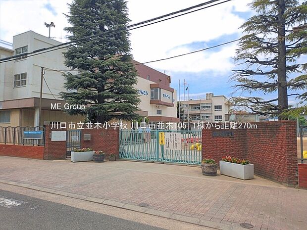 小学校 270m 川口市立並木小学校