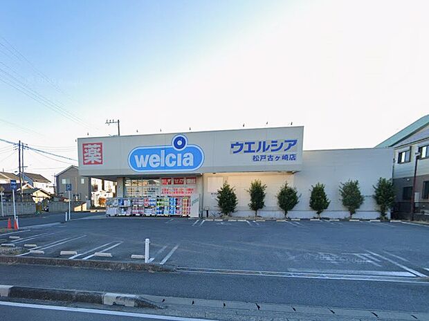 ドラッグストア 300m ウエルシア松戸古ヶ崎店