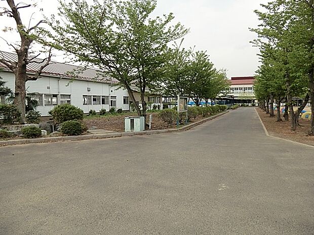 小学校 806m 幸手市立八代小学校