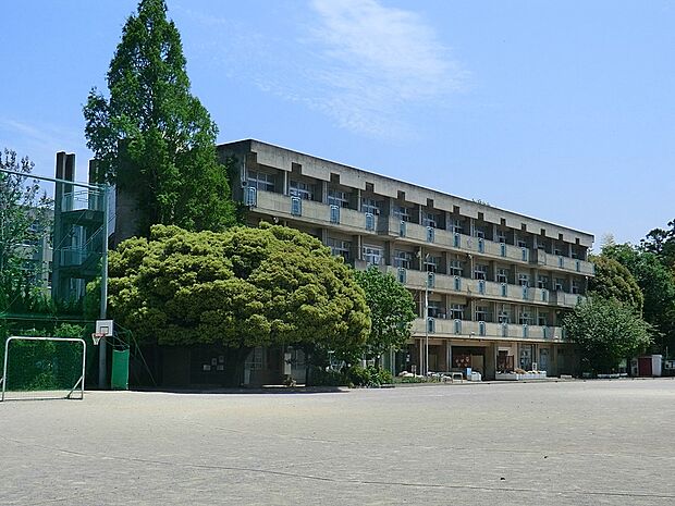 小学校 550m さいたま市立大谷小学校