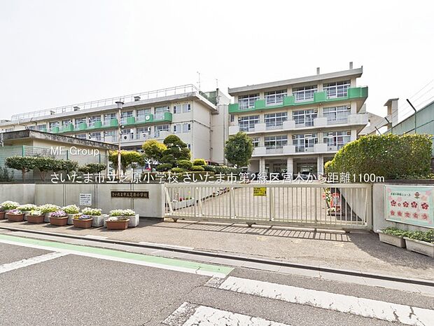 小学校 1100m さいたま市立芝原小学校