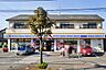 周辺：コンビニ 250m ミニストップ 大宮内野本郷店