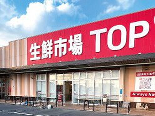 スーパー 900m 生鮮市場TOP 八潮伊草店
