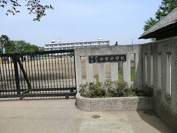 小学校 1000m 所沢市立中富小学校