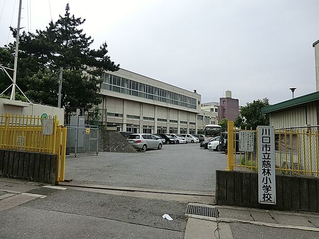 小学校 1022m 川口市立慈林小学校