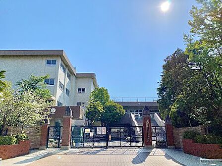 中学校 1540m さいたま市立南浦和中学校