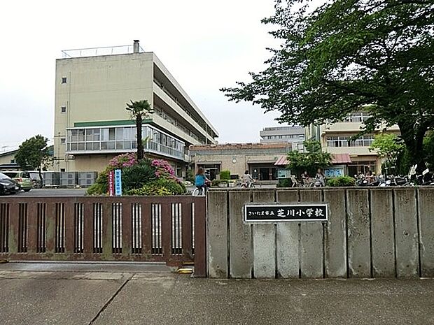 小学校 320m さいたま市立芝川小学校