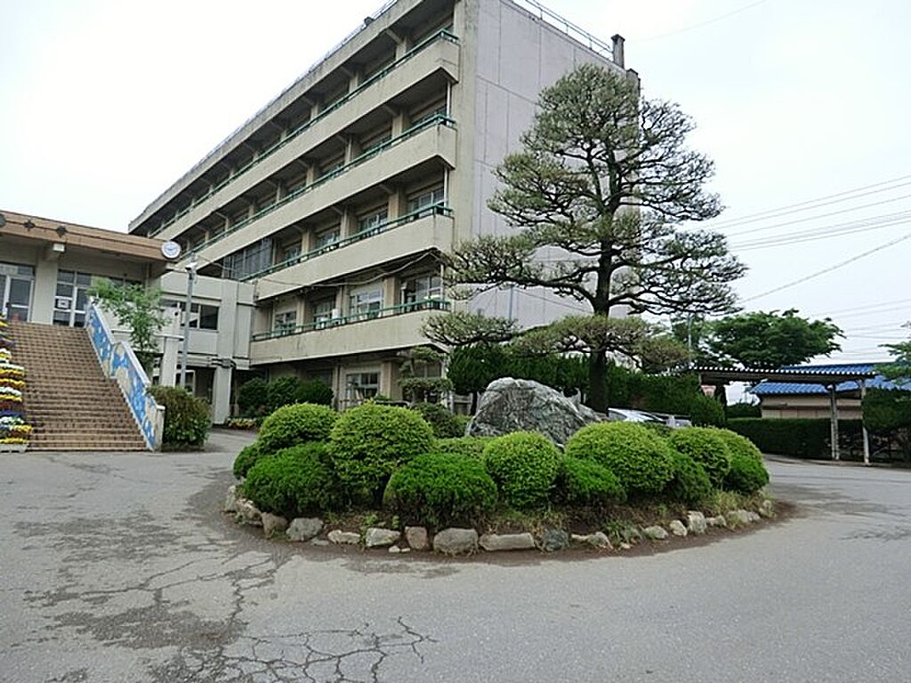 Image 5