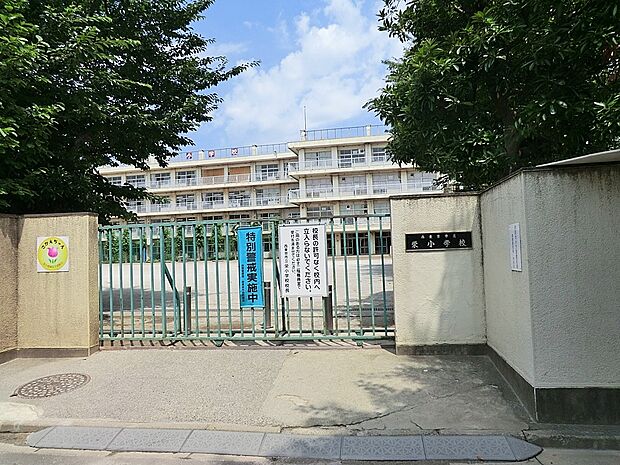 小学校 950m 西東京市立栄小学校