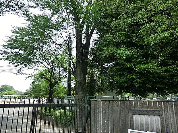 小学校 500m 上尾市立平方小学校