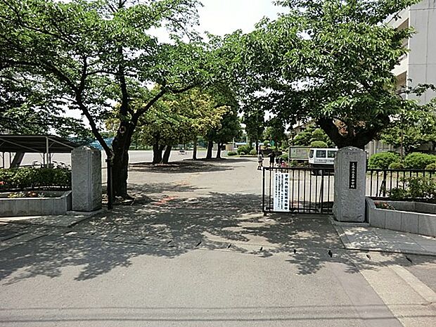 中学校 1100m 上尾市立太平中学校