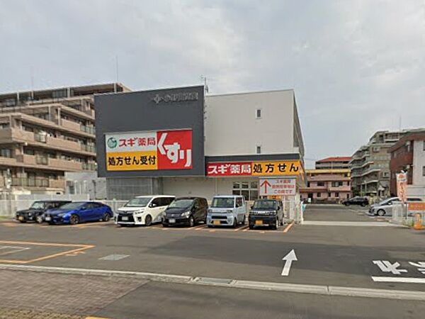 ドラッグストア 1000m スギドラッグ 南越谷店