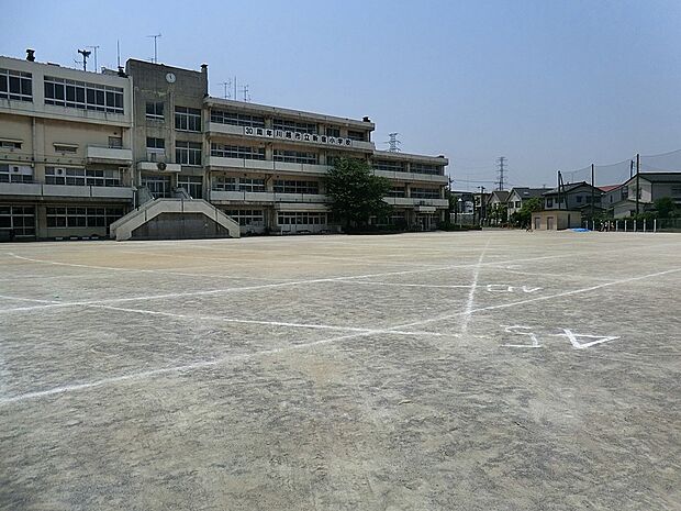 小学校 600m 川越市立新宿小学校