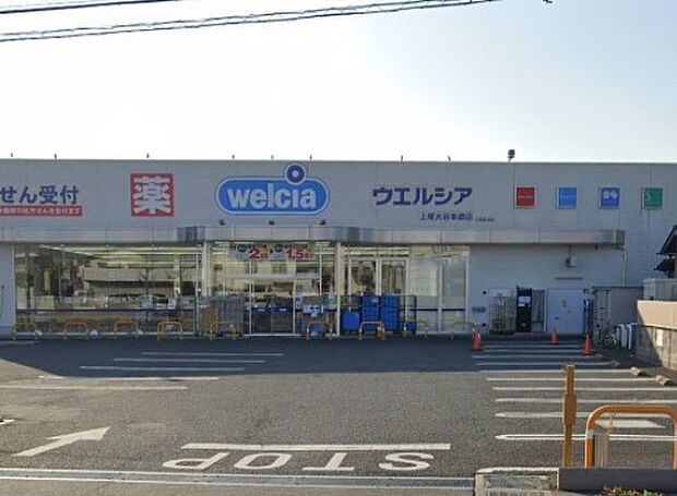 ドラッグストア 550m ウエルシア上尾大谷本郷店