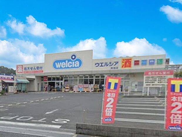 ドラッグストア 500m ウエルシア南柏店