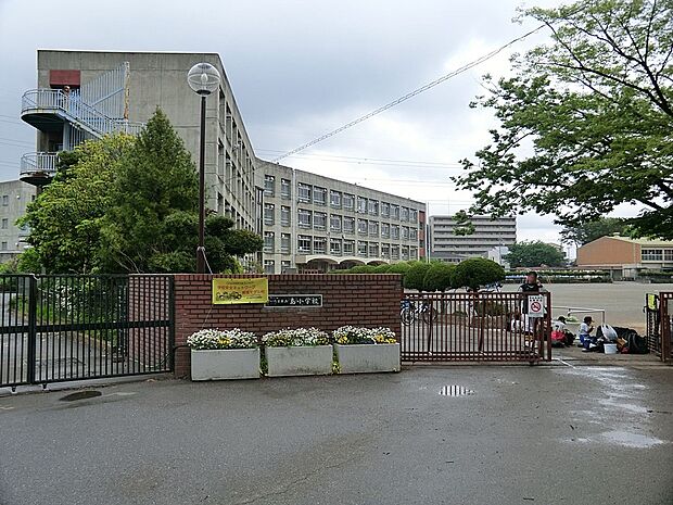 小学校 650m さいたま市立島小学校